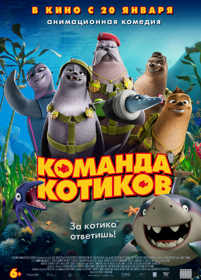 Команда котиков
